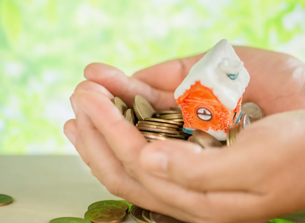 kiwi saver home